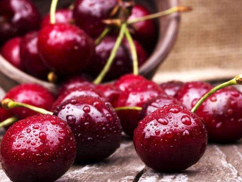 Вишня купить саженцы из питомника в Геническе